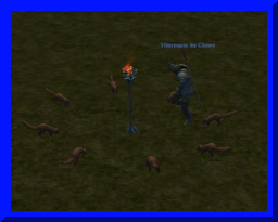 dancing w squirrels01.jpg