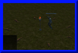 dancing w squirrels02.jpg