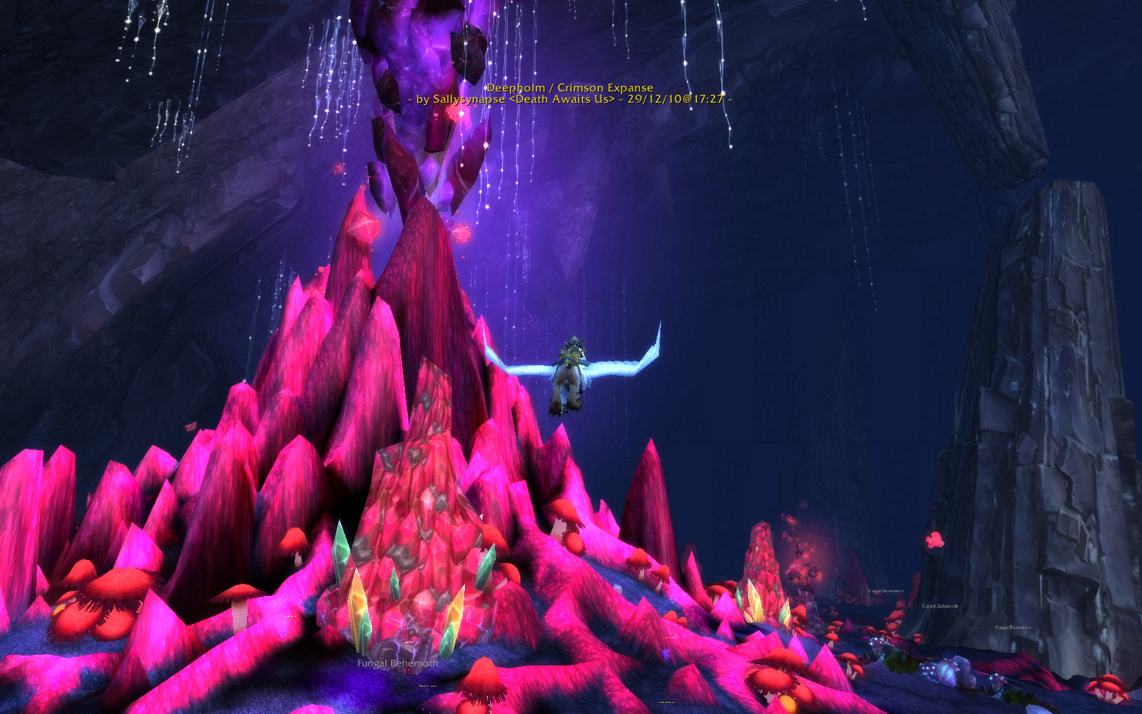 sally yr in revioew 30.jpg