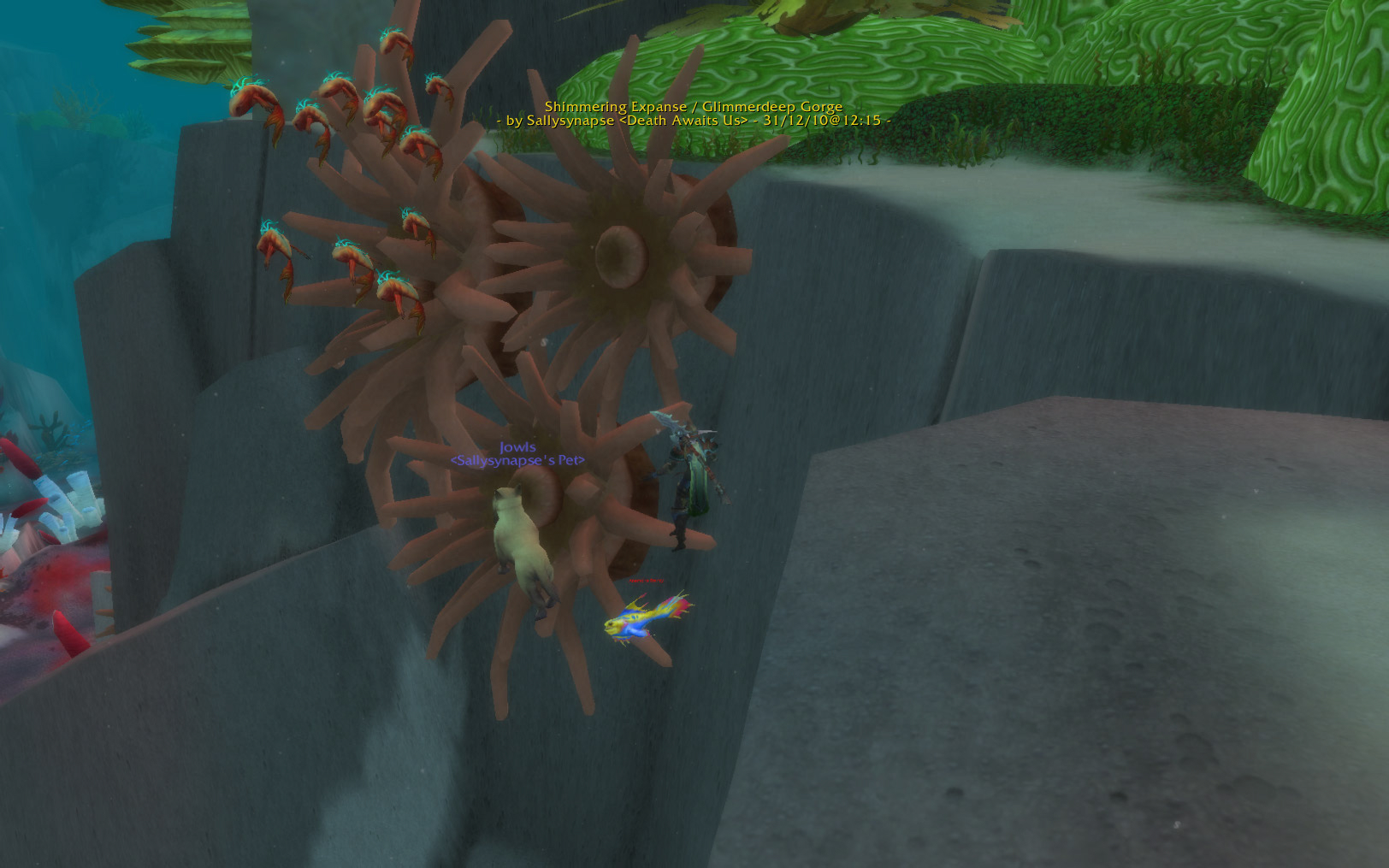 sally yr in revioew 34.jpg