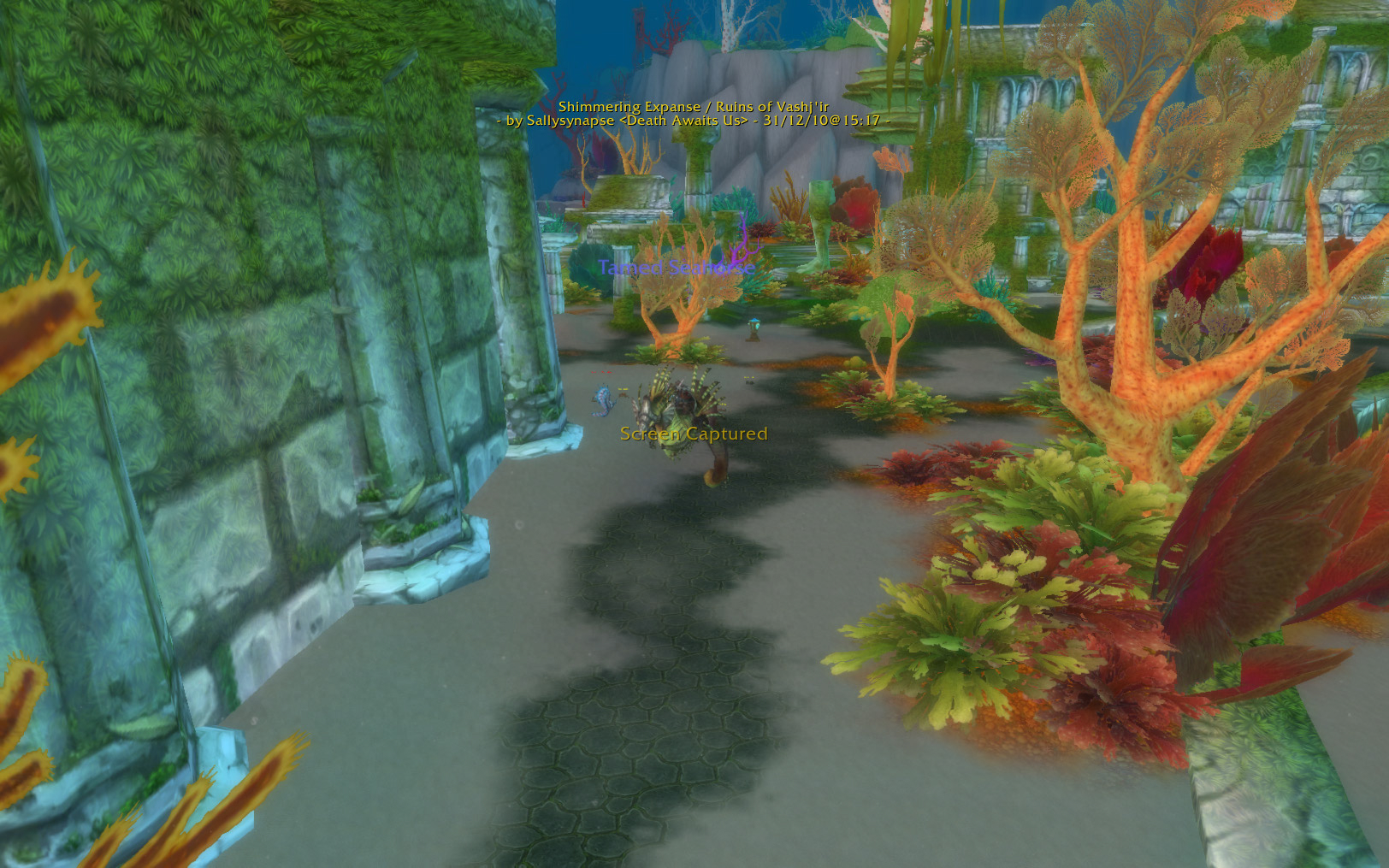 sally yr in revioew 36.jpg