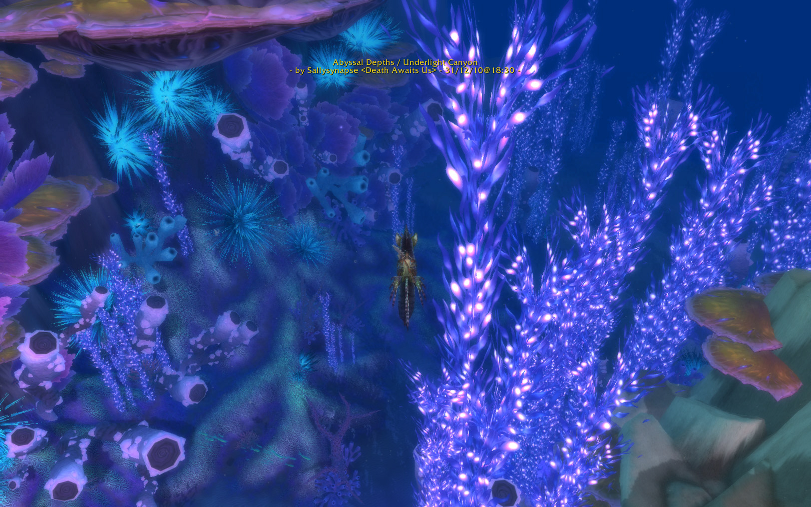 sally yr in revioew 38.jpg