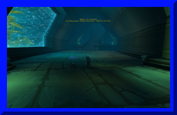 sally yr in revioew 02.jpg