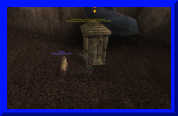 sally yr in revioew 06.jpg