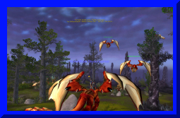 sally yr in revioew 14.jpg