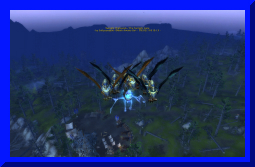 sally yr in revioew 15.jpg