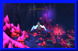 sally yr in revioew 24.jpg