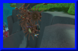 sally yr in revioew 34.jpg