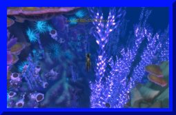 sally yr in revioew 38.jpg